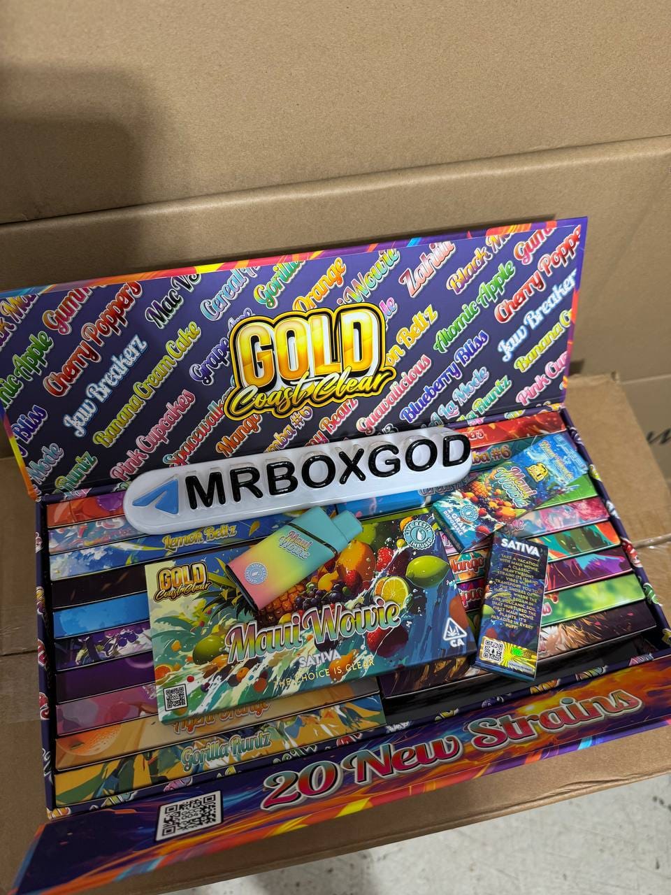 WhatsApp Image 2025-06-07 at 1.32.45 AM